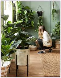 16 Gorgeous Interior Design With Indoor Plants 00003 In 2020 House Plants Decor House Plants Indoor Room With Plants