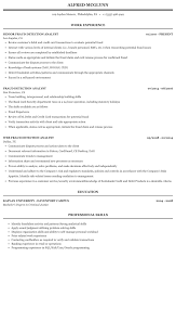 Cv templates cv examples (over 300. Fraud Detection Analyst Resume Sample Mintresume