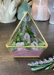 Crystal Garden Terrarium Kit Fairy Crystal Garden Zen Garden Etsy Healing Crystals Decor Crystal Garden Terrarium Crystal Garden