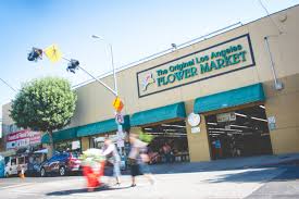 Blooming flowers by d joan. Gallery Exploring The Original Los Angeles Flower Market Daily Bruin
