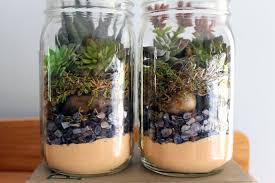Mason Jar Terrarium With Succulents Consumer Crafts Mason Jar Plants Mason Jar Terrarium Terrarium