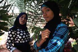 Moroccan women are just women. Civil Society Listeners Team Up With Enumerators To Track Violence Against Women In Morocco Un Women Data Hub