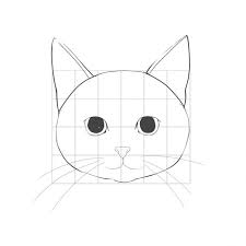Add the legs by drawing two curved lines from the bottom curve of the head down to the area of the feet. How To Draw A Cat 1 How To Draw A Basic Face Medibang Paint