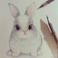 Nice Bunny To Draw And Coloring Is Nice Cute Drawings Animal Drawings Bunny Drawing