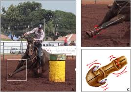 This will help you focus on the details that a video cannot teach. Radiographic Abnormalities In Barrel Racing Horses With Lameness Referable To The Metacarpophalangeal Joint Sciencedirect