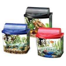These betta fish are dying at petsmart! Aqueon 2 5 Gallon Desktop Aquarium Aquariums Petsmart Aquarium Kit Betta Fish Tank Mini Bows
