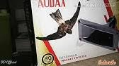 Economisez avec notre option de livraison gratuite. 6 Macam Type Tweeter Audax Terbaik Menurut Mereka Yang Sudah Sukses Youtube