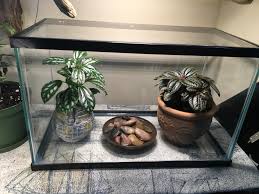 Maybe you would like to learn more about one of these? Help With Terrarium And Grow Lights I Want To Turn This Into A Terrarium With Several Plants In It But Is It Ok To Just Out Some Soil In And The Plants
