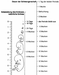Infothek Liebe Freundschaft Sexualitat