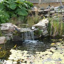 He leans forward and lays out the following process Pond Waterfall Diy Garden Waterfalls Home Facebook