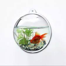 Pembayaran mudah, pengiriman cepat & bisa cicil 0%. Aquarium Dinding Bulat Diameter 20cm Lazada Indonesia