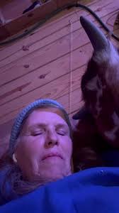 Jerry Clair and His Uncle Having A Wreck with Cows