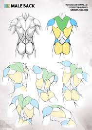 So so we want to do is think about that as we go to get this in so. Cartoon Block Template For Drawing Back Muscles Http Mamoon26 Tumblr Com Post 148107904057 Anatomy Series The Pdf On Gumroad With More Facebook