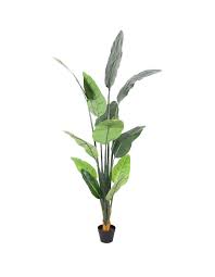 Place it in your home or office and get the feel of the tropical islands without actually being there. Cooper Co Botanica 180cm Artificial Banana Leaf Tree Plant Myer