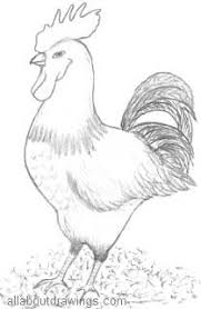 Maybe you would like to learn more about one of these? Copy These Simple Rooster Drawings