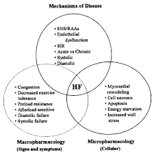 Pathophysiology Of Pediatric Heart Failure Sciencedirect