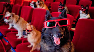 Looking to watch air bud? 7 Feel Good Dog Movies You Can Stream On Netflix The Dog People By Rover Com