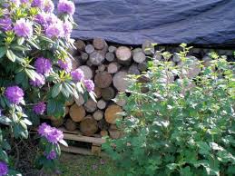 Wie viel kostet es, ein haus zu kaufen? Suche Grosses Haus Efh Mit Elw In Norden Ostfriesland Bis