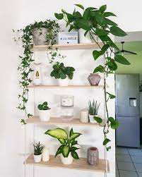 42 Amazing Indoor Garden Decorations Tips And Ideas Plant Decor Indoor Plant Decor House Plants Indoor