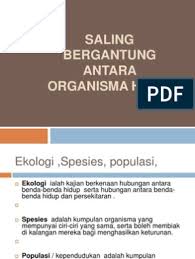 Saling bergantung antara organisma hidup. Bab 4 Ting 2 Saling Bersandaran Antara Organisma Hidup Dengan Persekitaran
