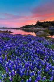 Spring Wonderland Beautiful Nature Beautiful Landscapes Nature Photography