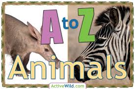 Children learn alphabetical order in this fun educational computer activity. A To Z Animals List For Kids With Pictures Facts Animal A Z Information