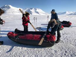 Dat is bevestigd aan 'vtm nieuws'. North Pole Bear Dixie Dansercoer Responds Updated Explorersweb