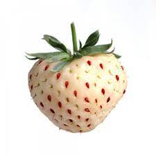 Heavy fruit producer that can be harvested for making wine, jam or left on the plant to provide seasonal forage for wildlife. The Unusual Fruit And Vegetables You Never Even Knew Existed Recipes Woman Home