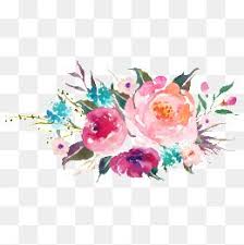 Drawing Plant Plant Clipart Floral Decoration Flowers Png Transparent Clipart Image And Psd File For Free Download Leaf Drawing Flower Png Images Watercolor Flowers