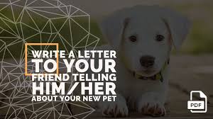 These posters are perfect for any elementary classroom, and they'll be a wonderful resource for your students as they. Write A Letter To Your Friend Telling Him Her About Your New Pet With Pdf English Compositions