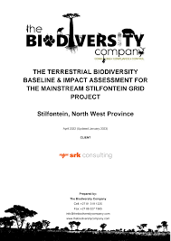 Image result for Chascanum adenostachyum