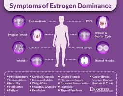 12 tips to balance estrogen levels naturally drjockers com