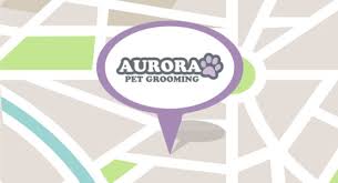 Licensing fees here are $45 a year for a neutered dog and $150 for an unneutered dog. Dog Groomers Near Me Aurora Pet Grooming 720 889 0489