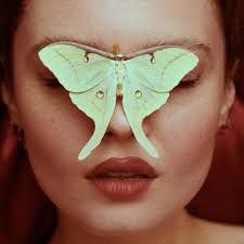 Photos by Charlotte Rose Benjamin (@charlotterosebenjamin) · December 10,  2024