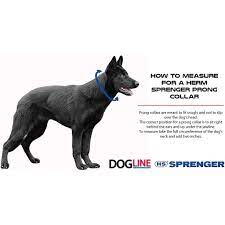 It features adjustable chains that are unlike other collars, a prong collar is a piece of serious equipment. Herm Sprenger Prong Collar 2 Rings No Swivel Shopee Philippines