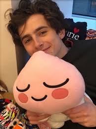 Call me by your name. Timothee Chalamet And Timothee Chalamet Icon Image 7628988 On Favim Com