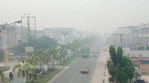 Check spelling or type a new query. Diterjang Kabut Asap Hingga Jadi Viral Di Mana Itu Riau Ini Lokasi Sejarah Dan Data Lengkapnya Halaman All Tribun Timur