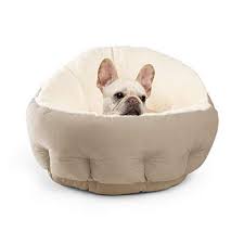 We did not find results for: 13 Best Heated Dog Beds To Keep Your Pup Super Cozy