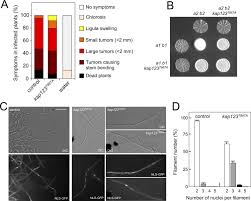 Maybe you would like to learn more about one of these? Cytoplasmic Retention And Degradation Of A Mitotic Inducer Enable Plant Infection By A Pathogenic Fungus Elife