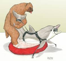 Dolphin Porn 169491 | ... Images | the Worlds Largest Intern