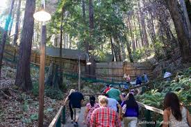 Magnetic anomalies emanating from the bermuda triangle. The Mystery Spot In Santa Cruz Altered Reality Or A Clever Gimic California Through My Lens