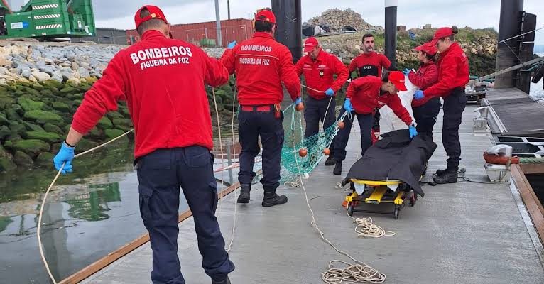 Corpo em elevado estado de decomposição encontrado na Figueira da Foz