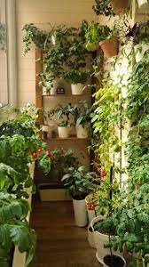 Balcony Container Vegetable Gardening An Immersive Guide By Balcony Decoration