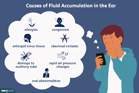 What Is Fluid In The Ear?