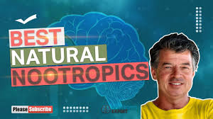 Best Natural Nootropics