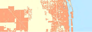 Image result for Lipocarpha atra