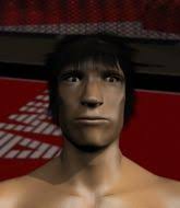 MMA Tycoon :: Mixed Martial Arts Game:: Play by Play Fight Commentary