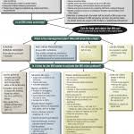 Crisis Management Flow Chart Communication Team Chicago Park