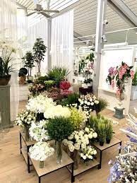 Great savings & free delivery / collection on many items. H Andreas Fake Plants For Commercial Customers Since 1970