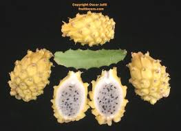 Tropical fruits fall deeply under water with a big splash. Pin On Fruits